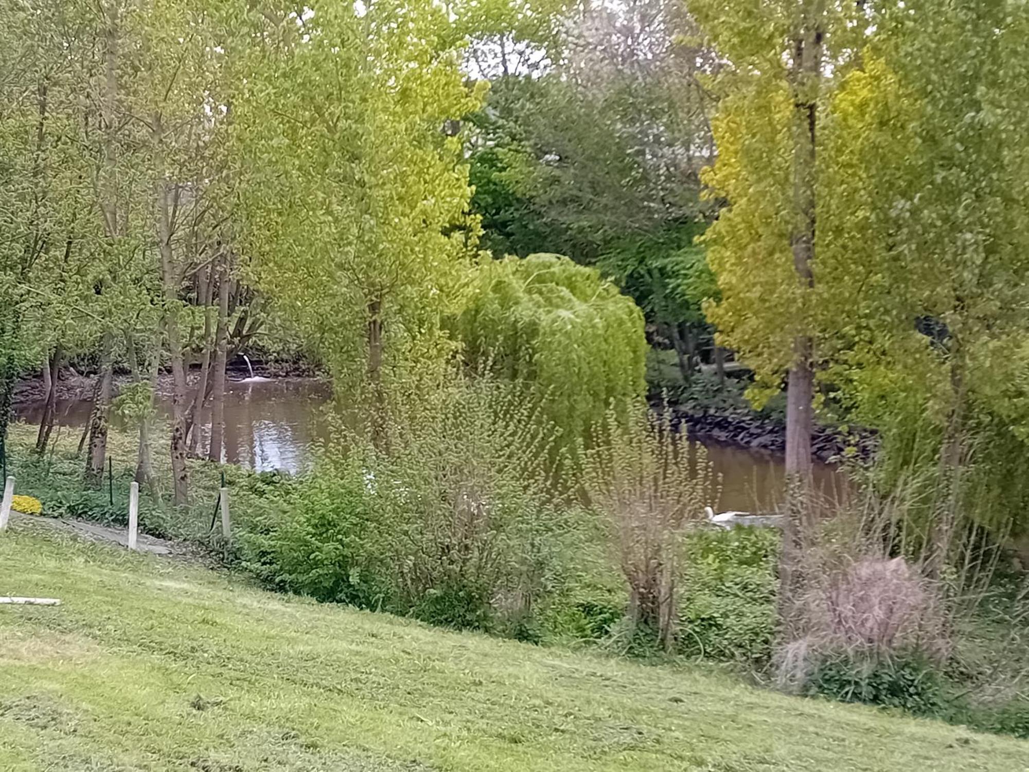 Maison Au Coeur De La Nature Villa Cerisy-la-Foret Eksteriør billede